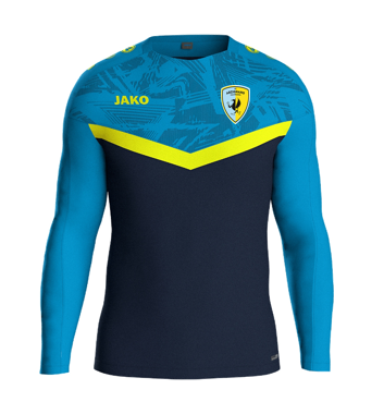 FELPA ALLENAMENTO ARZIGNANO 25/26/27