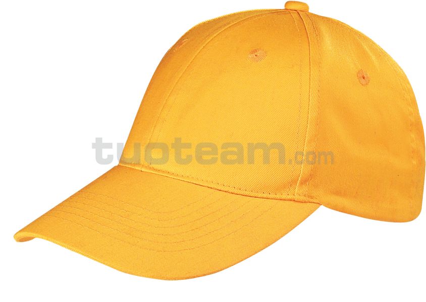 CAPPELLINO 6 PANNELLI 