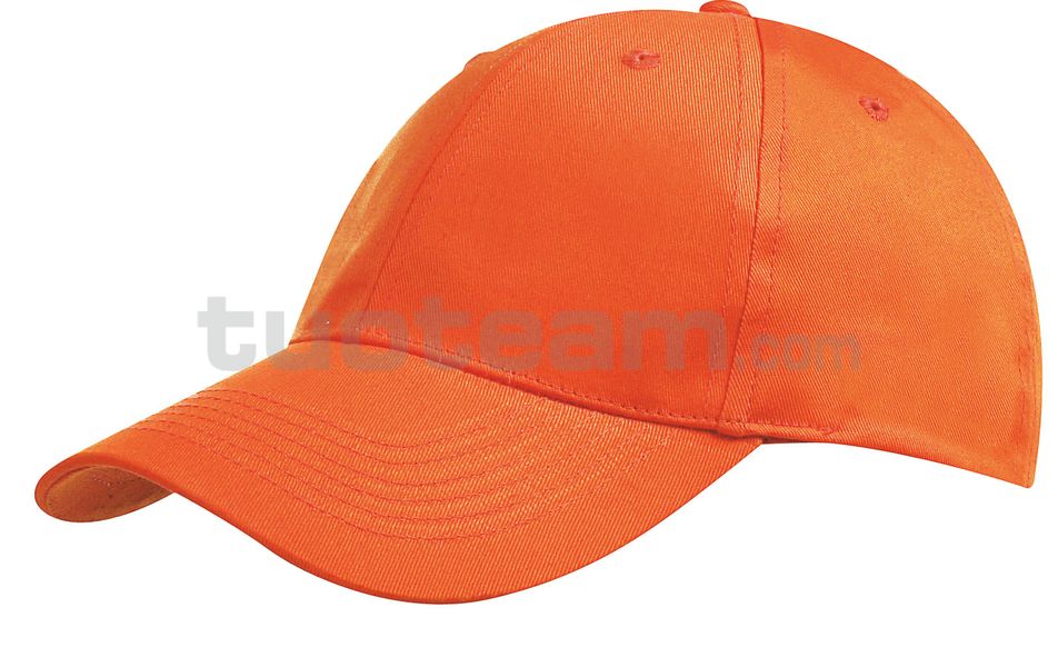 CAPPELLINO 6 PANNELLI 